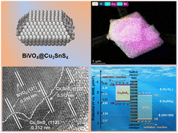 Graphical abstract: Facilitating charge transfer through an atomic coherent interface of a novel direct Z-scheme BiVO4@Cu3SnS4 heterojunction to boost photocatalytic performance