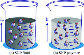 Graphical abstract: Structure and magnetization of a magnetoactive ferrocomposite