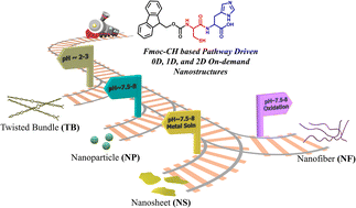 Graphical abstract: Microfluidic-driven ultrafast self-assembly of a dipeptide into stimuli-responsive 0D, 1D, and 2D nanostructures and as hydrolase mimic