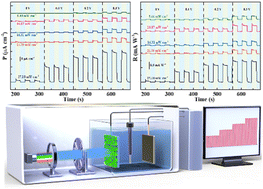 Graphical abstract: Direct growth of SnS2 nanowall photoanode for high responsivity self-powered photodetectors