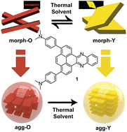 Graphical abstract: Multiple aggregates from multiple polymorphs: structural and mechanistic insight into organic dye aggregates