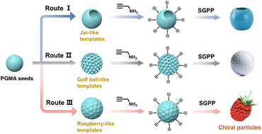 Graphical abstract: Optically active polymer particles with programmable surface microstructures constructed using chiral helical polyacetylene