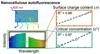 Graphical abstract: Autofluorescence spectroscopy for quantitative analysis of cellulose nanocrystals