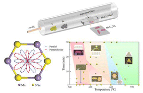 Graphical abstract: Synthesis of stable γ-phase MnS1−xSex nanoflakes with inversion symmetry breaking