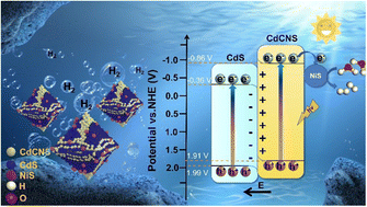 Graphical abstract: Surface-active site modulation of the S-scheme heterojunction toward exceptional photocatalytic performance