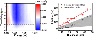 Graphical abstract: Ultrafast carrier dynamics and layer-dependent carrier recombination rate in InSe