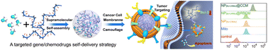 Graphical abstract: Cancer-cell-membrane-camouflaged supramolecular self-assembly of antisense oligonucleotide and chemodrug for targeted combination therapy