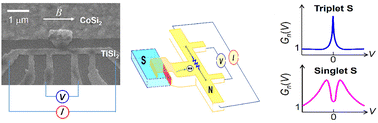 Graphical abstract: Tuning interfacial two-component superconductivity in CoSi2/TiSi2 heterojunctions via TiSi2 diffusivity