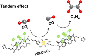 Graphical abstract: A tandem effect of atomically isolated copper–nitrogen sites and copper clusters enhances CO2 electroreduction to ethylene