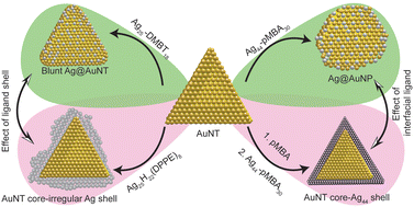 Graphical abstract: Tunable reactivity of silver nanoclusters: a facile route to synthesize a range of bimetallic nanostructures