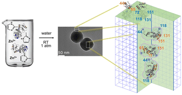 Graphical abstract: Unveiling the orientation and dynamics of enzymes in unstructured artificial compartments of metal–organic frameworks (MOFs)
