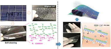 Graphical abstract: Cellulose-based slippery covalently attached liquid surfaces for synergistic rain and solar energy harvesting