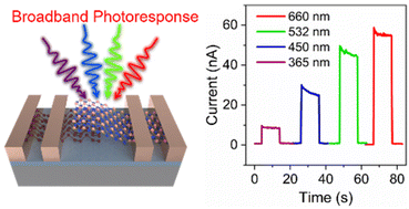 Graphical abstract: A two-dimensional Te/ReS2 van der Waals heterostructure photodetector with high photoresponsivity and fast photoresponse