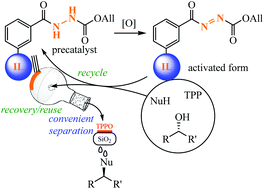 Graphical abstract: Recyclable and reusable ionic liquid-supported azo precursors in Mitsunobu reactions