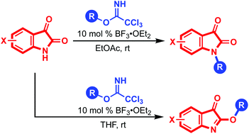 Graphical abstract: Alkylation of isatins with trichloroacetimidates