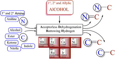 Graphical abstract: Recent advances in C/N-alkylation with alcohols through hydride transfer strategies