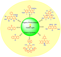 Graphical abstract: Recent progress in organophotoredox reaction