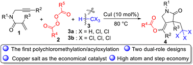 Graphical abstract: The polychloromethylation/acyloxylation of 1,6-enynes with chloroalkanes and diacyl peroxides through dual-role designs