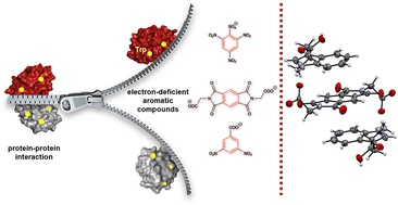 Graphical abstract: Tryptophan association in water driven by charge-transfer interactions with electron-deficient aromatic haptens