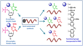 Graphical abstract: C5-pyrimidine-functionalized morpholino oligonucleotides exhibit differential binding affinity, target specificity and lipophilicity