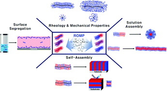 Graphical abstract: From macromonomers to bottlebrush copolymers with sequence control: synthesis, properties, and applications