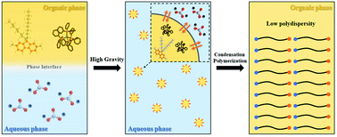 Graphical abstract: Synthesis of poly(9,9-dioctylfluorene) in a rotating packed bed with enhanced performance for polymer light-emitting diodes