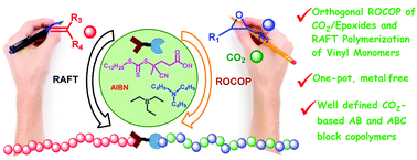 Graphical abstract: Orthogonally grown polycarbonate and polyvinyl block copolymers from mechanistically distinct (co)polymerizations
