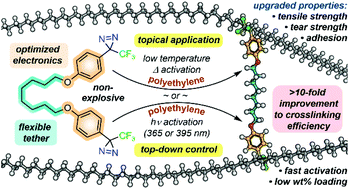 Graphical abstract: Electronically optimized diazirine-based polymer crosslinkers