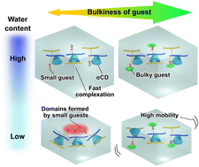 Graphical abstract: Water content and guest size dictate the mechanical properties of cyclodextrin mediated hydrogels