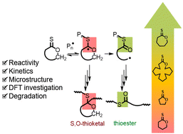 Graphical abstract: Ring size-reactivity relationship in radical ring-opening copolymerisation of thionolactones with vinyl pivalate