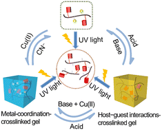 Graphical abstract: Supramolecular polymer network gels constructed by a pillararene-containing polymer and their applications in adhesion between semihard materials