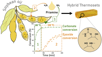 Graphical abstract: Unveiling the reactivity of epoxides in carbonated epoxidized soybean oil and application in the stepwise synthesis of hybrid poly(hydroxyurethane) thermosets