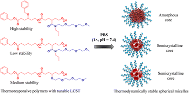 Graphical abstract: Self-assembly behavior of thermoresponsive difunctionalized γ-amide polycaprolactone amphiphilic diblock copolymers