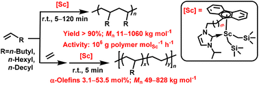 Graphical abstract: Polymerization of α-olefins and their copolymerization with ethylene by half-sandwich scandium catalysts with an N-heterocyclic carbene ligand