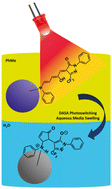 Graphical abstract: Donor–acceptor Stenhouse adduct functionalised polymer microspheres