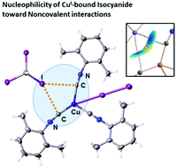 Graphical abstract: Chameleonic metal-bound isocyanides: a π-donating CuI-center imparts nucleophilicity to the isocyanide carbon toward halogen bonding