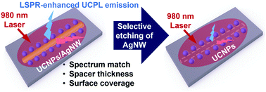 Graphical abstract: A quantitative single-nanowire study on the plasmonic enhancement for the upconversion photoluminescence of rare-earth-doped nanoparticles