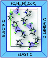 Graphical abstract: Symmetry-breaking phase transitions, dielectric and magnetic properties of pyrrolidinium-tetrahalidocobaltates