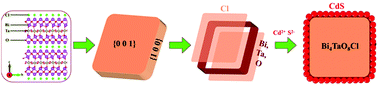 Graphical abstract: Facet-dependent CdS/Bi4TaO8Cl Z-scheme heterojunction for enhanced photocatalytic tetracycline hydrochloride degradation and the carrier separation mechanism study via single-particle spectroscopy