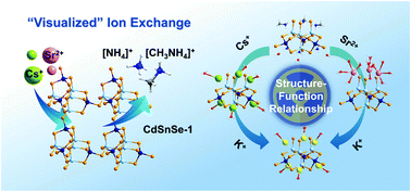 Graphical abstract: Structural investigation of the efficient capture of Cs+ and Sr2+ by a microporous Cd–Sn–Se ion exchanger constructed from mono-lacunary supertetrahedral clusters