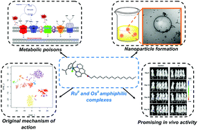 Graphical abstract: Self-assembled ruthenium and osmium nanosystems display a potent anticancer profile by interfering with metabolic activity