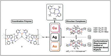 Graphical abstract: Hydrogen bonds and dispersion forces serving as molecular locks for tailored Group 11 bis(amidine) complexes