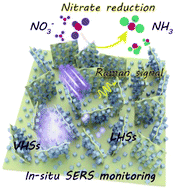 Graphical abstract: Electrochemical reduction of nitrate on silver surface and an in situ Raman spectroscopy study