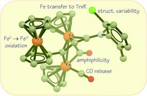 Graphical abstract: When ferrocene and diiron organometallics meet: triiron vinyliminium complexes exhibit strong cytotoxicity and cancer cell selectivity