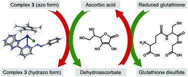 Graphical abstract: Anticancer half-sandwich Ir(iii) complex and its interaction with various biomolecules and their mixtures – a case study with ascorbic acid