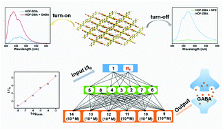 Graphical abstract: An anthracene-based hydrogen-bonded organic framework as a bifunctional fluorescent sensor for the detection of γ-aminobutyric acid and nitrofurazone