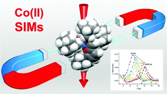 Graphical abstract: Single-ion magnet behaviour in homoleptic Co(ii) complexes bearing 2-iminopyrrolyl ligands