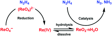 Graphical abstract: Excessive consumption mechanism of hydrazine in the reaction with ReO4−: Re species evolution and ReO2·nH2O-catalyzed decomposition