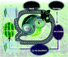 Graphical abstract: Growing Co–Ni–Se nanosheets on 3D carbon frameworks as advanced dual functional electrodes for supercapacitors and sodium ion batteries