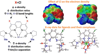 Graphical abstract: 2-Methylpyrrolidine derived 1,10-phenanthroline-2,9-diamides: promising extractants for Am(iii)/Ln(iii) separation